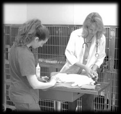 SPAY-NEUTER INITIATIVE PROGRAM (SNIP) CLINIC Since 2005, HAWS has lowered the incoming number of stray cats to our shelter by 38%; we know our efforts put into the free spay and neuter of our county