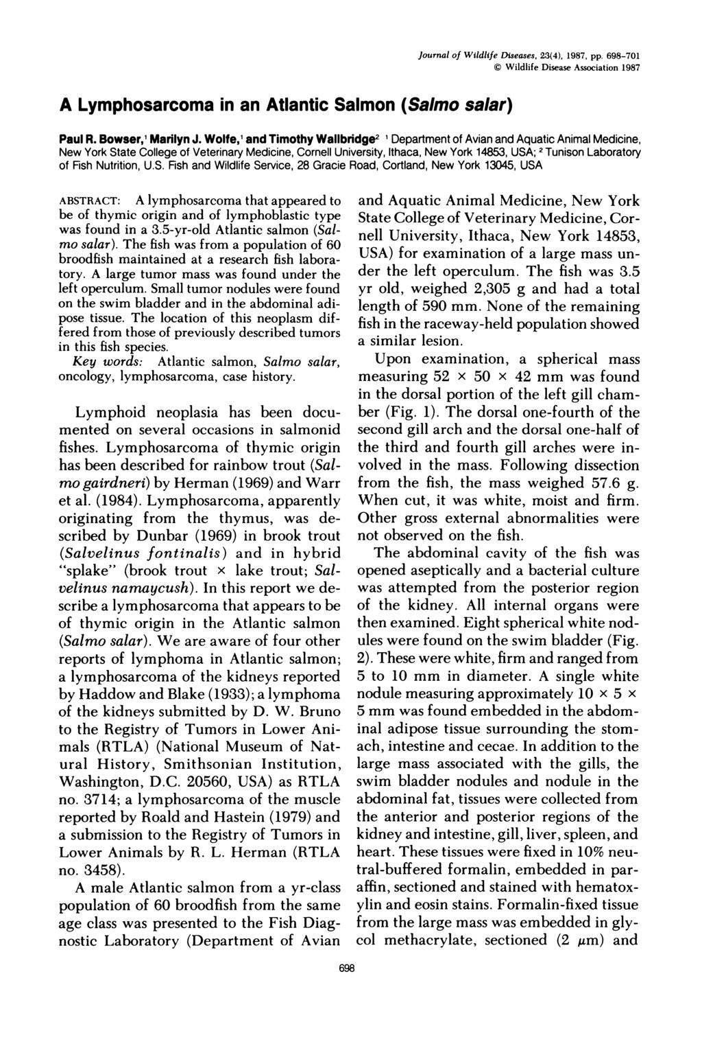 Journal of Wildlife Diseases, 23(4), 1987, pp. 698-701 Wildlife Disease Association 1987 A Lymphosarcoma in an Atlantic Salmon (Salmo salar) Paul R. Bowser, Marilyn J.