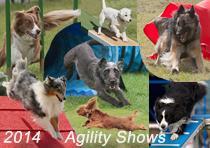 Remember our 2014 show is 14 th & 15 th June The show itself is Saturday & Sunday, but we need help on the Friday to help set up.