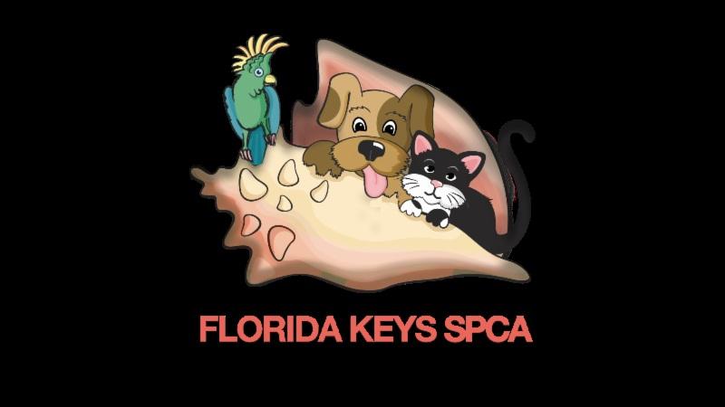 CA operates the largest animal shelter and pet adoption center in the Florida Keys and is the southernmost animal shelter in the continental U.S.