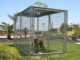 as a 5 x 10 kit, so, you can make a 5 x 10 or a 10 x 10 aviary/chicken coop Available in  needs Shown with