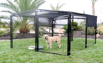 large dog house Complete home for up to 12 chickens, small dogs, turtles, adult