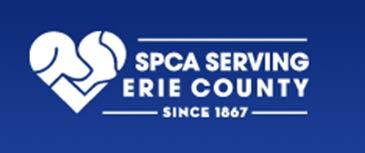 Managed Intake SPCA serving Erie County By having a waiting list to admit cats, we are in a much better position to help folks keep their cat.