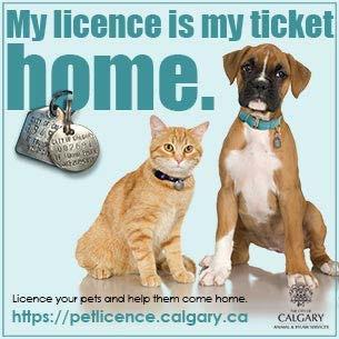 Return-to-Owner Programs Innovative strategies to get more animals home City of Calgary 90% of dogs licensed, 85% of dogs impounded returned within 24