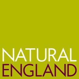 Natural England Commissioned Report NECR196 Pink-footed goose anthropogenic mortality