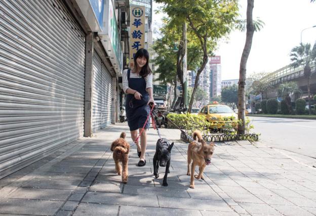 We ve also had a few of our furry friends go into foster homes this month. April and Grover have both gone to Petaholic Pet Garden, a newly opened pet boarding facility in Taipei.