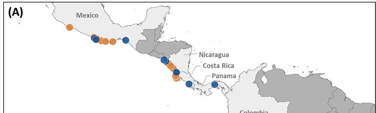 Figure 2. Eastern Pacific leatherback priority geographies.