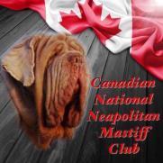 SPECIALTY SHOW CANADIAN NATIONAL NEAPOLITAN MASTIFF CLUB SATURDAY, JULY 6, 2019 JUDGE 51 County Rd., # 3 E., Brucefield, ON N0M 1J0 CLUB OFFICERS President... Linda-Young-Roberts Vice-President.