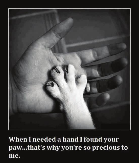 The saying at the bottom said When I needed a hand I found your paw that s why you re so precious to me.
