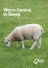 Worm Control in Sheep