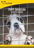 PUPPY SMUGGLING A TRAGEDY IGNORED. Investigation into the continuing abuse of the Pet Travel Scheme and the illegal entry of dogs into Great Britain