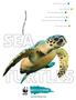 T E A C H I N G T O O LS A B O U T SEA TURTLE FUN FACTS SEA TURTLE Q&A WHY SEA TURTLES MATTER THE THREATS SEA TURTLES FACE