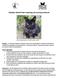 Hayden Island free-roaming cat survey protocol