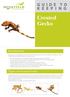 Crested Gecko GUIDE TO. Introduction. Types of Crested Gecko