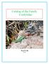 Catalog of the Family Cordylidae