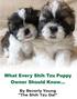 About The Author. Beverly Young ( The Shih Tzu Gal ) has been a lover of Shih Tzu for many years.