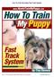 How To Train My Puppy Fast Track System