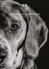 THE KENNEL CLUB DOG HEALTH GROUP ANNUAL REPORT 2014
