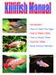 - Introduction - How to Hatch the Eggs - How to Raise Killies - How to Breed Killies - Food for Killies - Brine Shrimp Hatchery