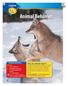 Animal Behavior. Why do animals fight? 454 D. Robert & Lorri Franz/CORBIS