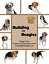 Building for Beagles. Beagle Paws Adoption & Education Centre buildingforbeagles.com