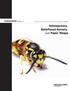 HOMEOWNER Guide to by Edward Bechinski, Frank Merickel, Lyndsie Stoltman, and Hugh Homan BUL 852. Yellowjackets, Bald-Faced Hornets, and Paper Wasps