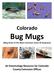 Colorado Bug Mugs (Mug Shots of the Most Common Insect ID Requests) An Entomology Resource for Colorado County Extension Offices