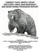 CABINET-YAAK GRIZZLY BEAR RECOVERY AREA 2008 RESEARCH AND MONITORING PROGRESS REPORT