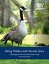 Solving Problems with Canada Geese. A Management Plan and Information Guide. humanesociety.org/geese