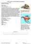 North American Porcupine (Erethizon dorsatum)