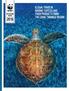 WWF Discussion Paper Illegal trade in marine turtles and their products from the Coral Triangle region