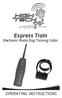 Express Train Electronic Radio Dog Training Collar