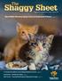 New Kitten Nursery Saves Lives of Orphaned Kittens pages 6-7