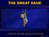 THE GREAT DANE A STUDY OF THE APOLLO OF DOGS.  Heroic Wisdom by Jerry Lobato