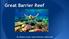 Great Barrier Reef. By William Lovell, Cade McNamara, Ethan Gail