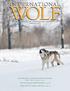 The Quarterly Publication of the International Wolf Center Volume 21, No. 1 SPrinG The Scientific Classification of Wolves: Canis lupus soupus