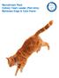 Recruitment Pack Cattery Team Leader (Part-time) Battersea Dogs & Cats Home