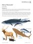 Fish or Mammals? Case study