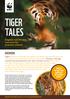 TIGER TALES OVERVIEW. English and literacy resource for primary schools THREE OF THE NINE TIGER SUBSPECIES ARE ALREADY EXTINCT SPECIES