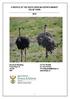 A PROFILE OF THE SOUTH AFRICAN OSTRICH MARKET VALUE CHAIN