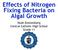 Effects of Nitrogen Fixing Bacteria on Algal Growth. Noah Donnenberg Central Catholic High School Grade 11