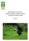 Enrichments for captive Andean Condor (Vultur gryphus) in Zuleta, North Ecuador. Yann Potaufeu (2014)