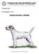 PARSON RUSSELL TERRIER