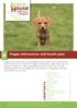 Puppy information and health plan