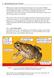 4. Identifying Cane Toads