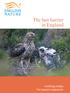 The hen harrier in England