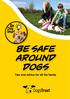BE SAFE AROUND DOGS. Tips and advice for all the family