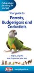 Parrots, Budgerigars and Cockatiels