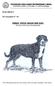 GREAT SWISS MOUNTAIN DOG (Grosser Schweizer Sennenhund)