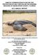 HABITAT CONSERVATION PLAN FOR THE PROTECTION OF SEA TURTLES ON THE ERODING BEACHES OF INDIAN RIVER COUNTY, FLORIDA 2013 ANNUAL REPORT